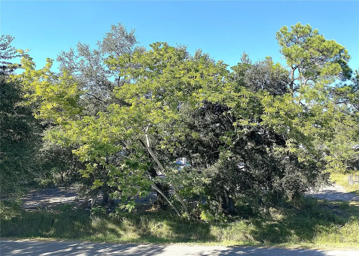 6808 New York Drive, Tampa, FL 33619 - Image #1