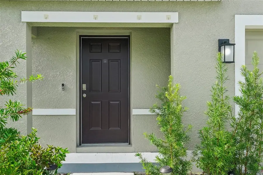 11637 Saw Palmetto Lane, Riverview, FL 33569 - Image #2