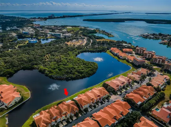 17 Franklin Court S #D, ST PETERSBURG, FL 33711