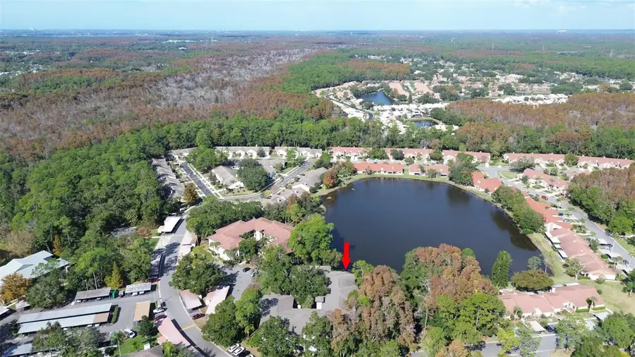 3399 Mermoor Drive #207, Palm Harbor, FL 34685 - Image #3