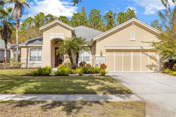 12013 Meridian Point Drive, TAMPA, FL 33626