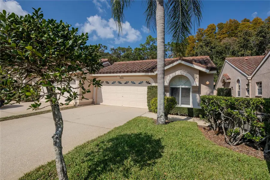 3825 Darston Street, Palm Harbor, FL 34685 - Image #2