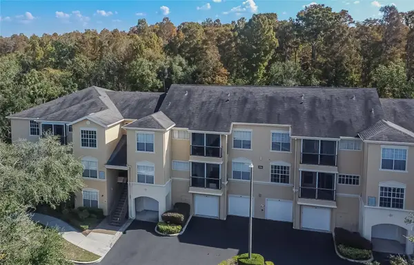 5125 Palm Springs Boulevard #4107, TAMPA, FL 33647