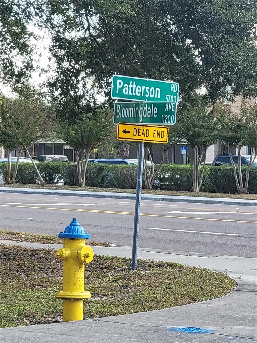 Bloomingdale Avenue, Riverview, FL 33578 - Image #2