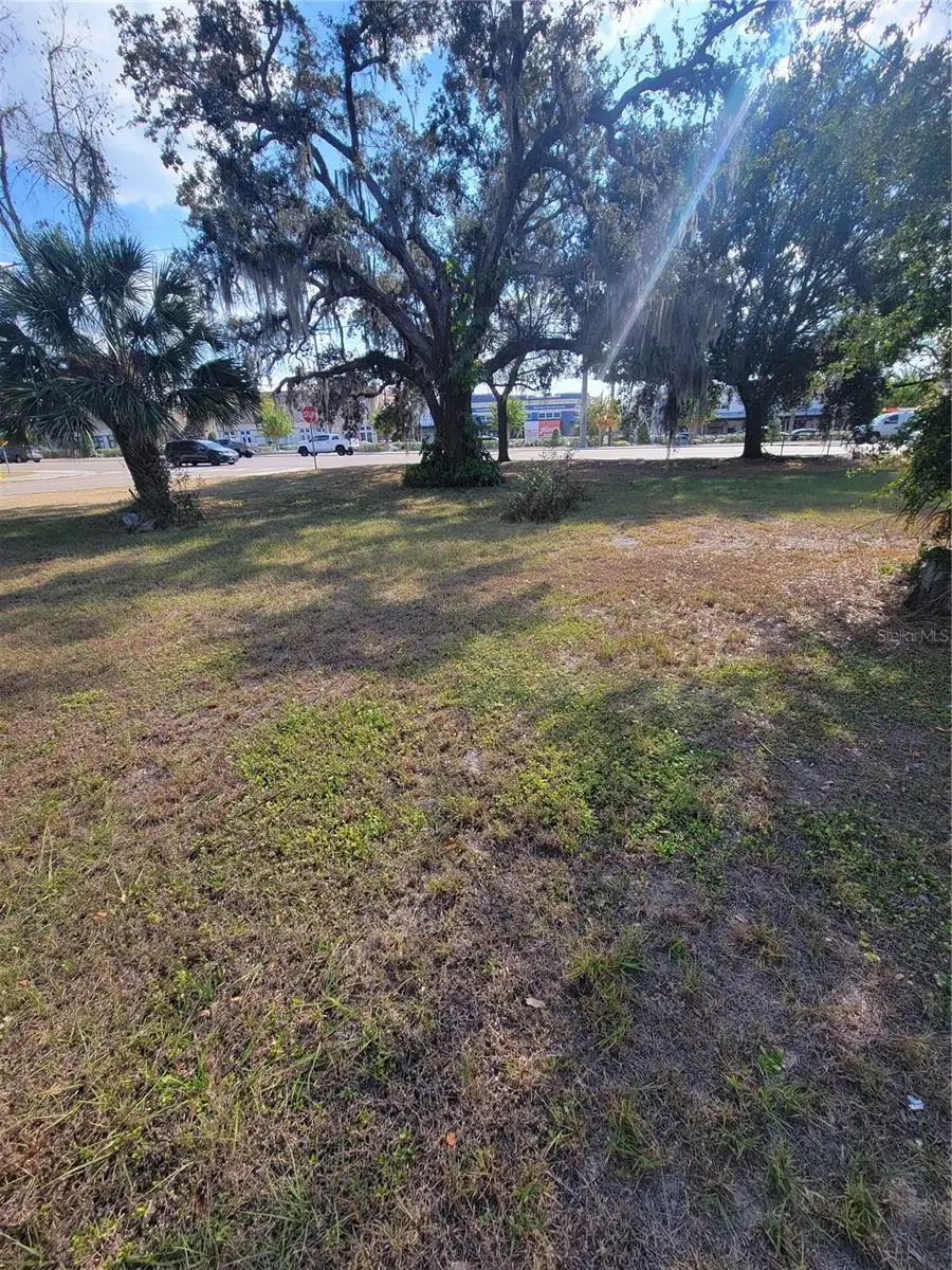 Bloomingdale Avenue, Riverview, FL 33578 - Image #3