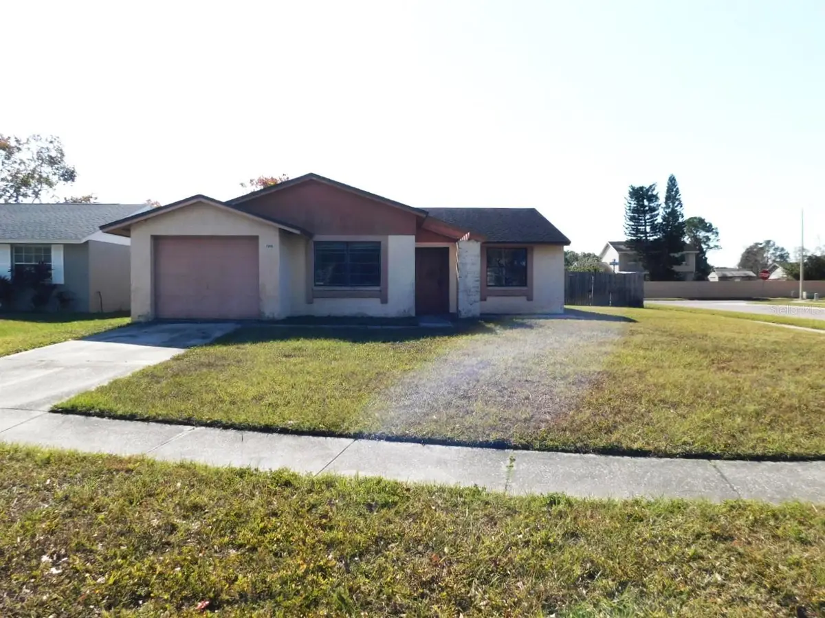 7218 Lunita Court, Tampa, FL 33625 - Image #1