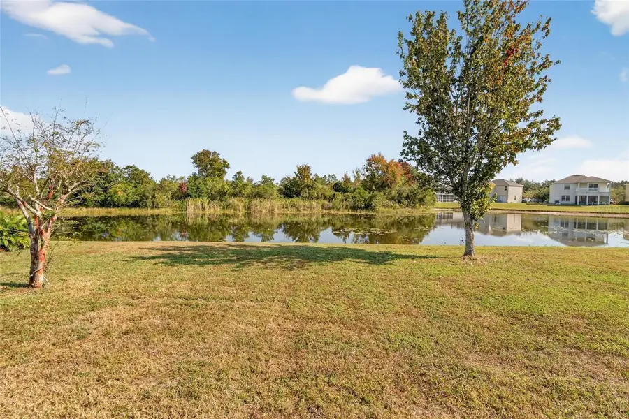 20703 Great Laurel Avenue, Tampa, FL 33647 - Image #3