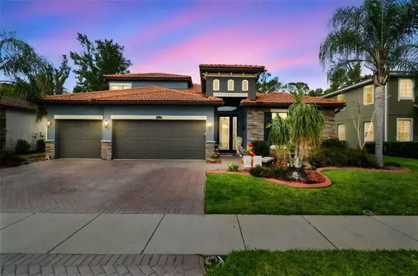 2961 Calvano Drive, LAND O LAKES, FL 34639