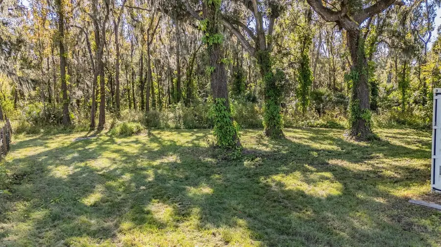 18113 672 Highway, Lithia, FL 33547 - Image #3