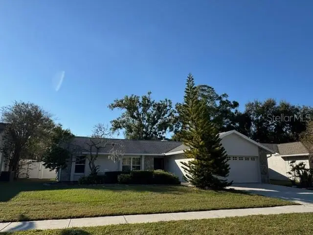 14912 Palmcrest Place, Tampa, FL 33625 - Image #3