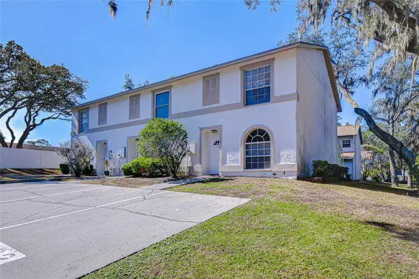 602 Fieldcrest Drive, BRANDON, FL 33511