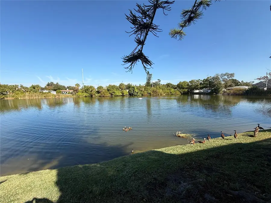 3342 W Wyoming Circle, Tampa, FL 33611 - Image #3