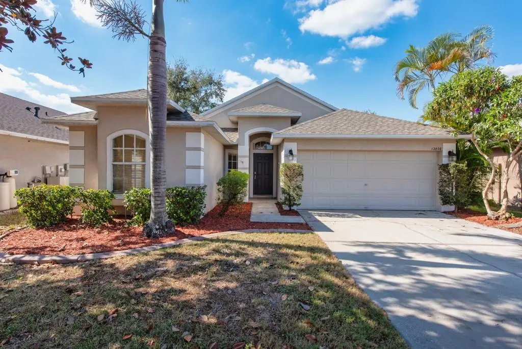 12808 Standbridge Drive, Riverview, FL 33579 - Image #1