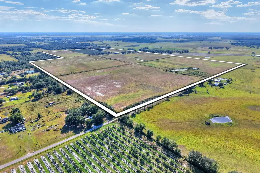 6018 NW County Road 661a, Arcadia, FL 34266 - Image #3