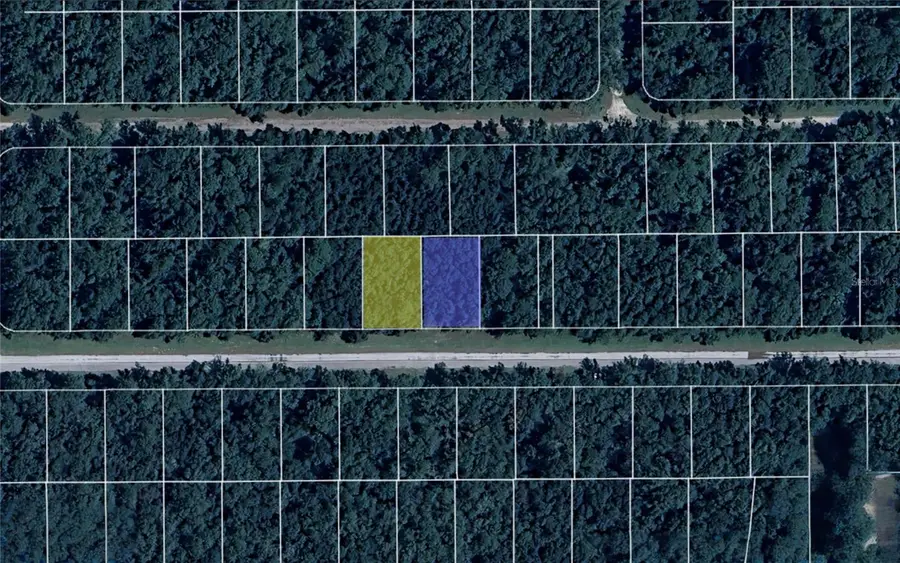 9273 N Athenia Drive, Dunnellon, FL 34434 - Image #3