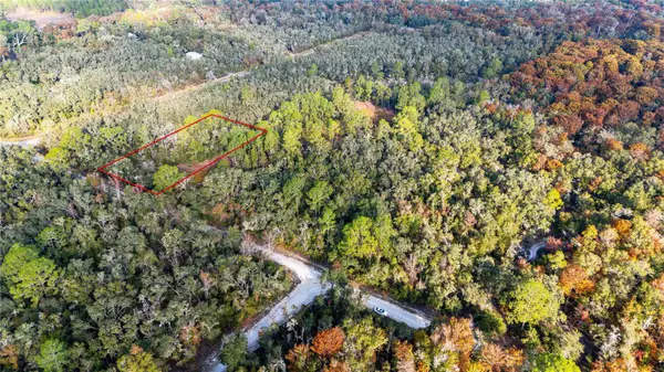 0 Rose Bloom Lot 7 Avenue, WEBSTER, FL 33597