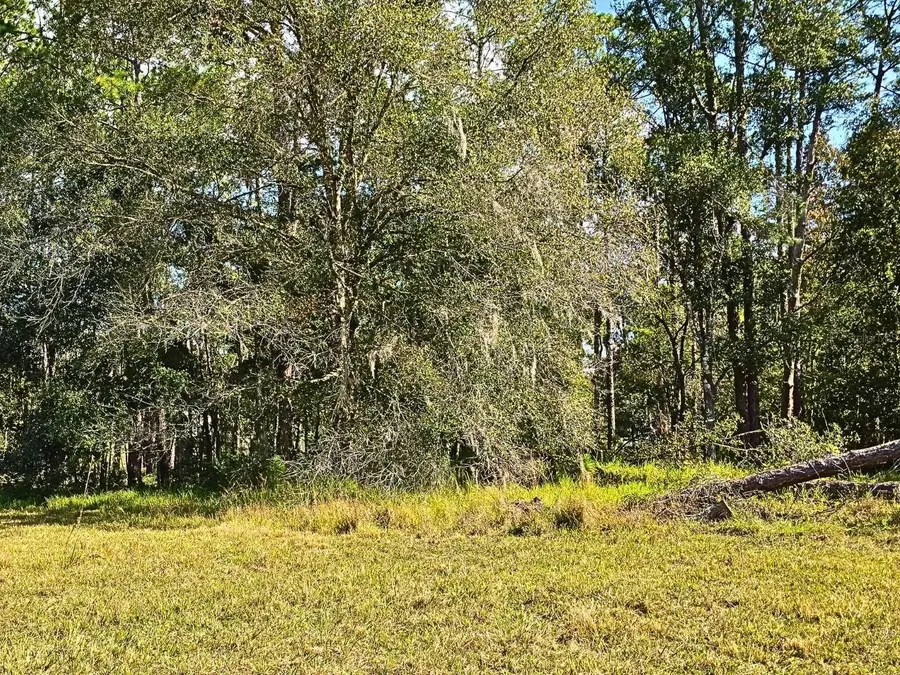 0 Bennington, Wesley Chapel, FL 33544 - Image #3