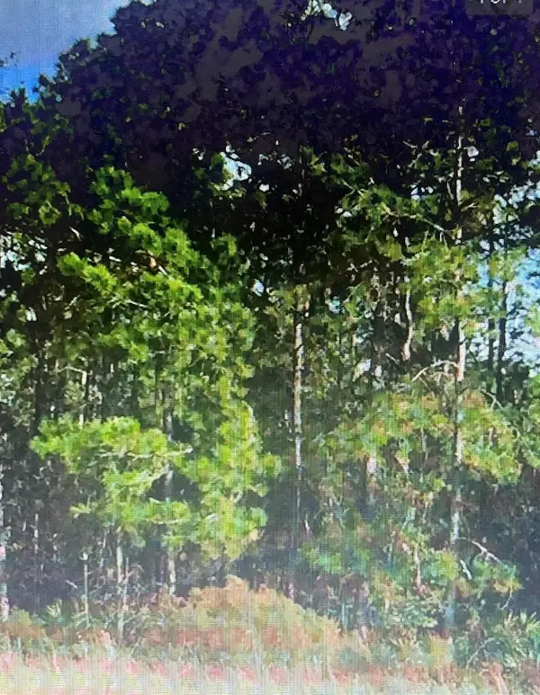 Unassigned Location Re, ARCHER, FL 32618