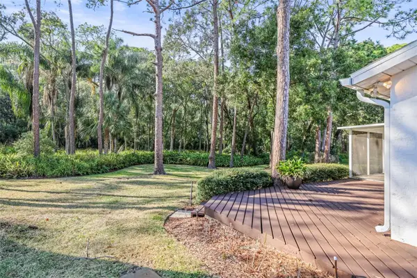 1128 Lanyard Street, PALM HARBOR, FL 34685