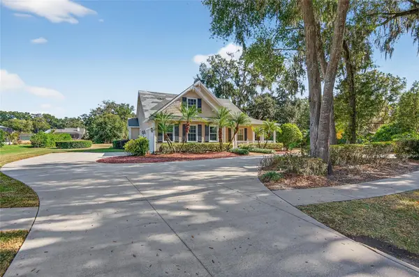 3533 Sam Allen Oaks Circle, PLANT CITY, FL 33565