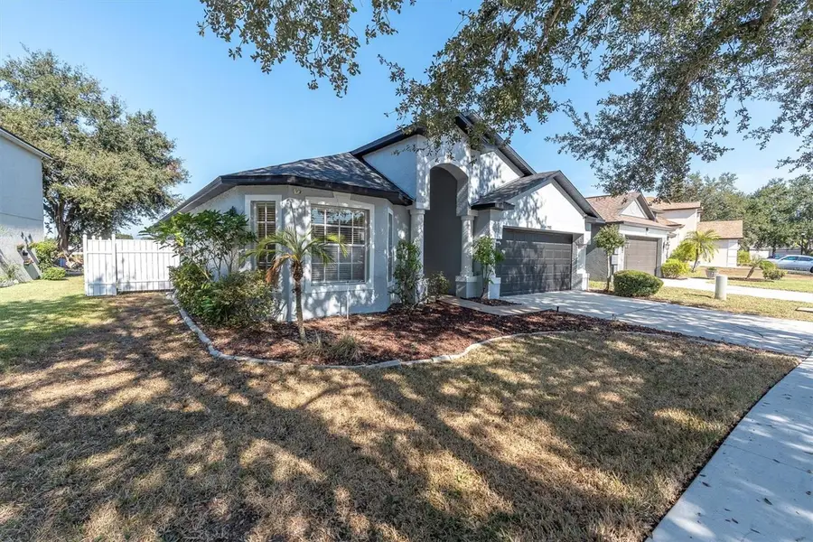 11102 Lakeside Vista Drive, Riverview, FL 33569 - Image #2