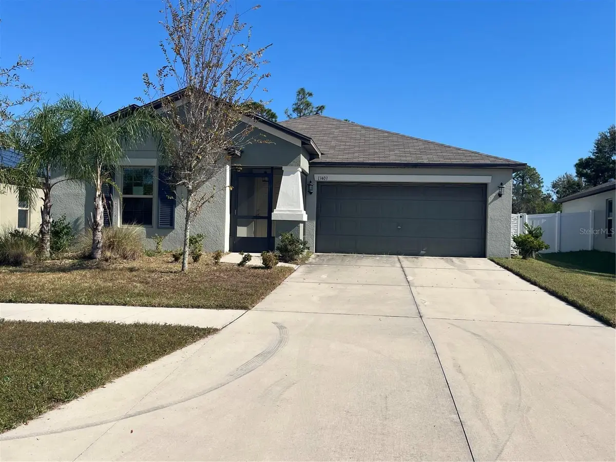 13403 Willow Bluestar Loop, Riverview, FL 33579 - Image #1