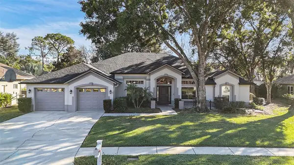 15818 Fairchild Drive, TAMPA, FL 33647