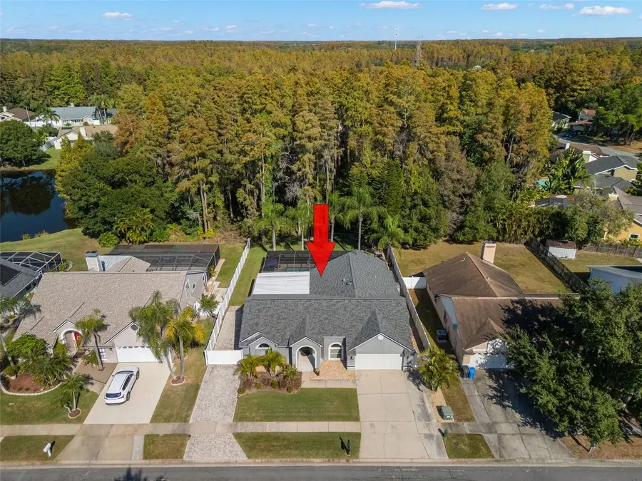 6505 Yellowhammer Avenue, Tampa, FL 33625 - Image #2