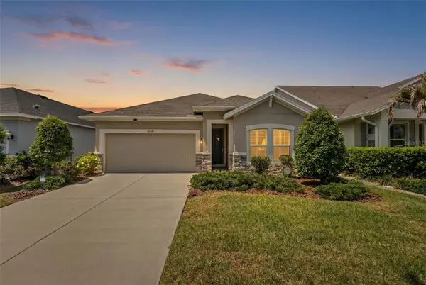 15180 Renaissance Avenue, ODESSA, FL 33556