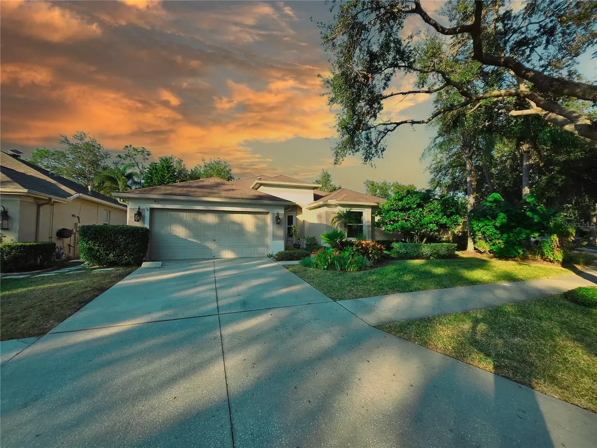 10118 Cannon Drive, Riverview, FL 33578 - Image #1