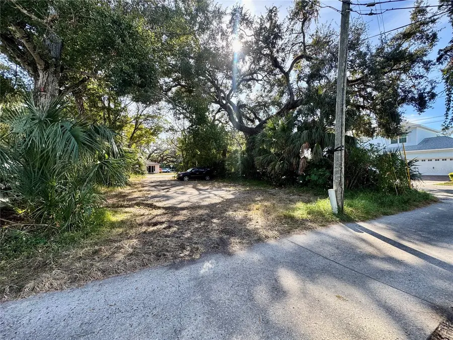 Delaware Street, Safety Harbor, FL 34695 - Image #3