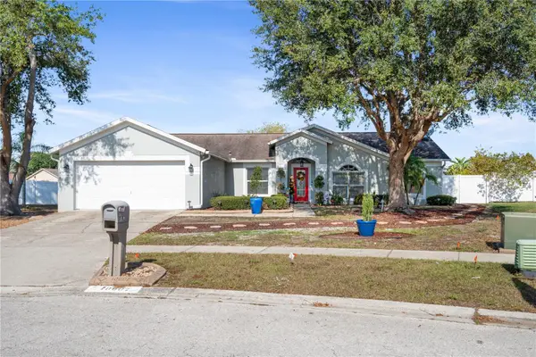 10607 Foxcrest Way, RIVERVIEW, FL 33569