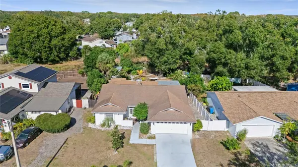 7301 Twelve Oaks Boulevard, TAMPA, FL 33634