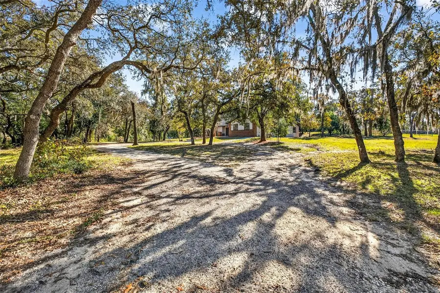14252 Trinity Road, Brooksville, FL 34614 - Image #2