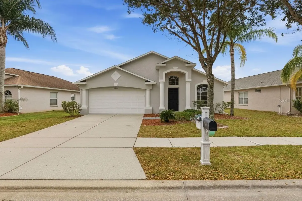 31218 Baclan Drive, Wesley Chapel, FL 33545 - Image #1