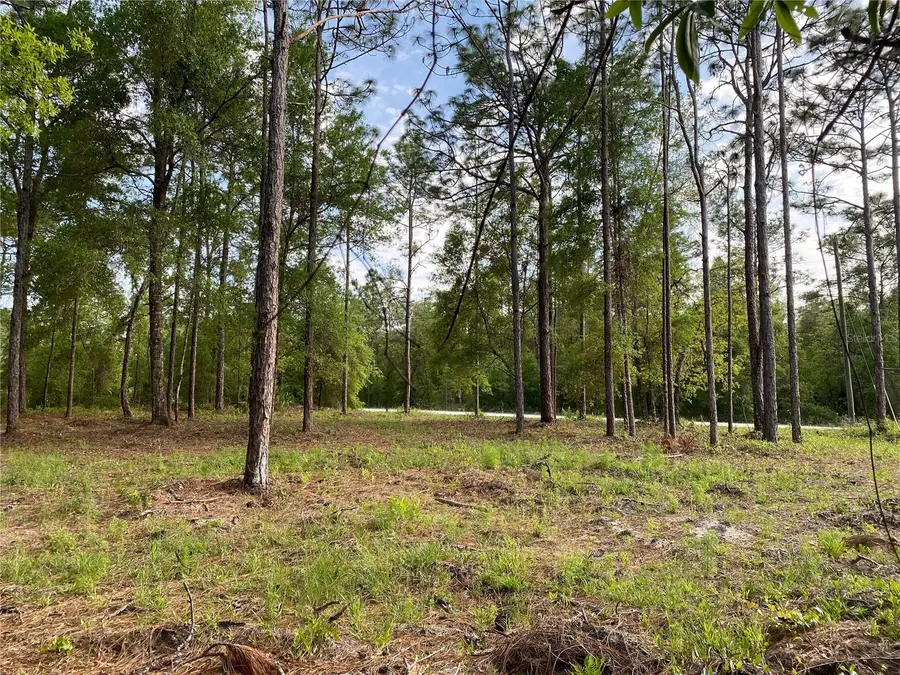 15570 Cliff Swallow Road, Weeki Wachee, FL 34614 - Image #2