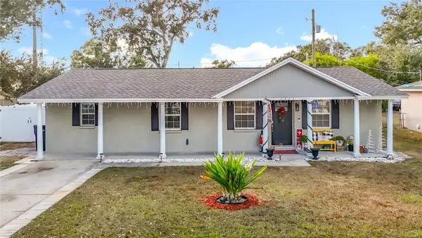 3203 Pinellas Place, TAMPA, FL 33619