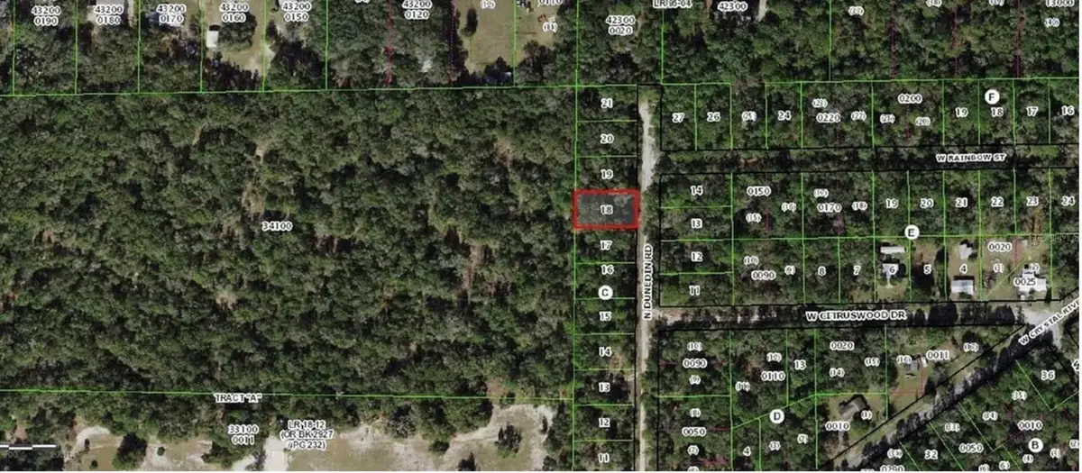 10452 N Dunedin Rd, Dunnellon, FL 34433 - Image #1