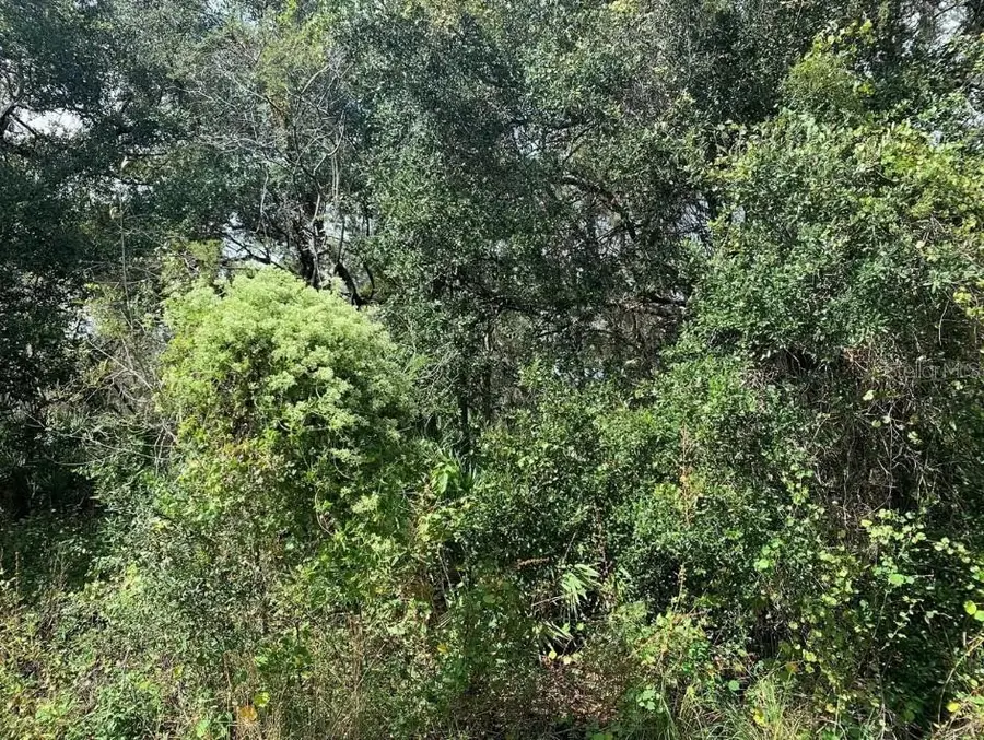 2159 Eastwind Terrace, Port Charlotte, FL 33953 - Image #3