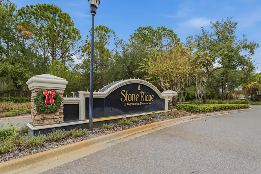 8145 Stone Leaf Lane, Tampa, FL 33647 - Image #2