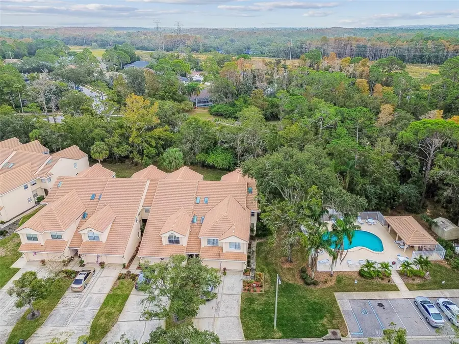 215 Clays Trail #215, Oldsmar, FL 34677 - Image #3