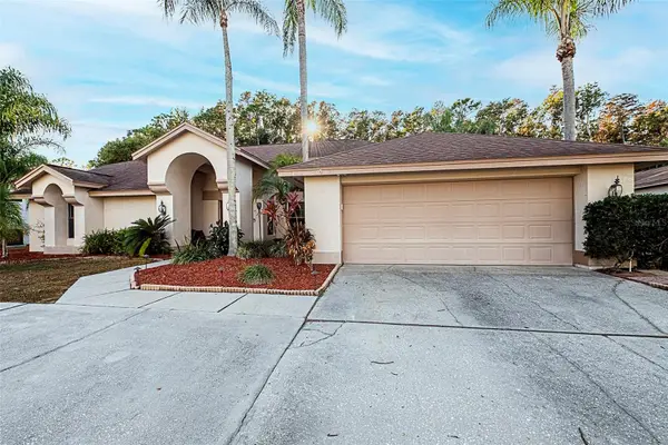 450 Waterford Circle E, TARPON SPRINGS, FL 34688