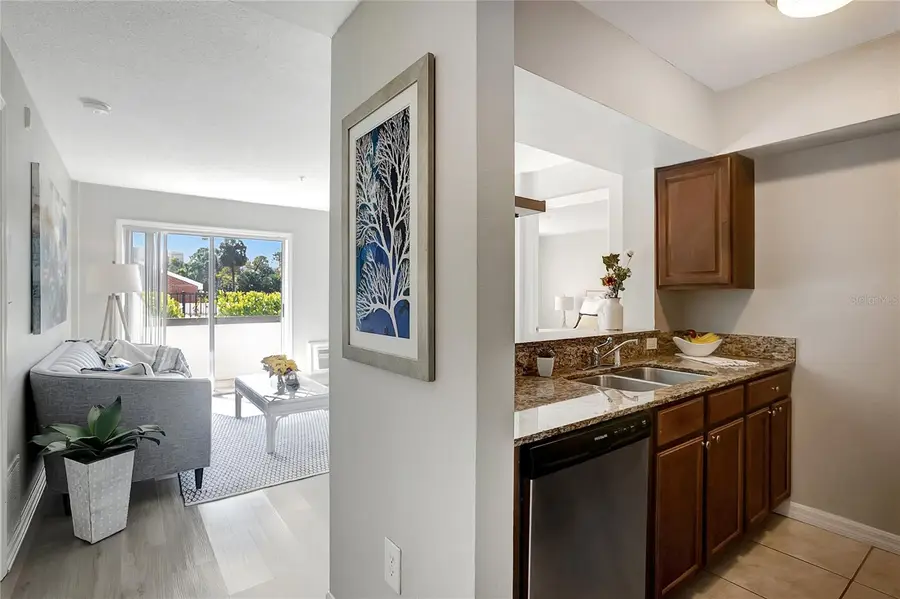 406 S Cedar Avenue #104, Tampa, FL 33606 - Image #3