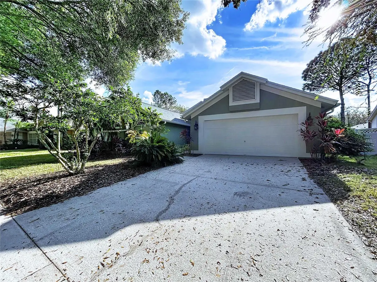 17307 Lockwood Ridge Drive, Tampa, FL 33647 - Image #1