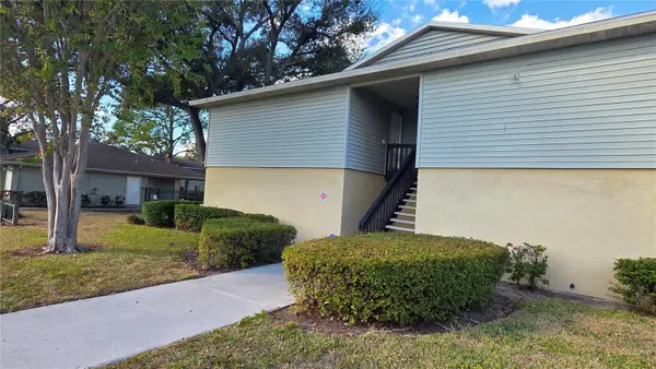 206 Berry Tree Place #206, BRANDON, FL 33510