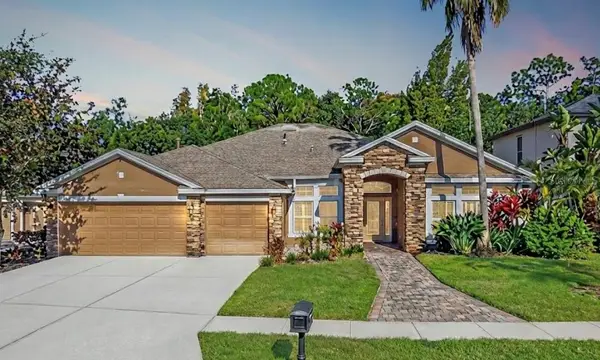 16121 Brecon Palms Place, TAMPA, FL 33647