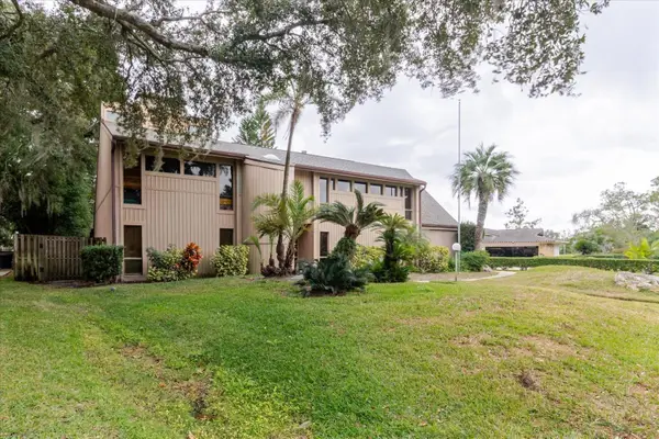 4404 Old Orchard Drive, TAMPA, FL 33618