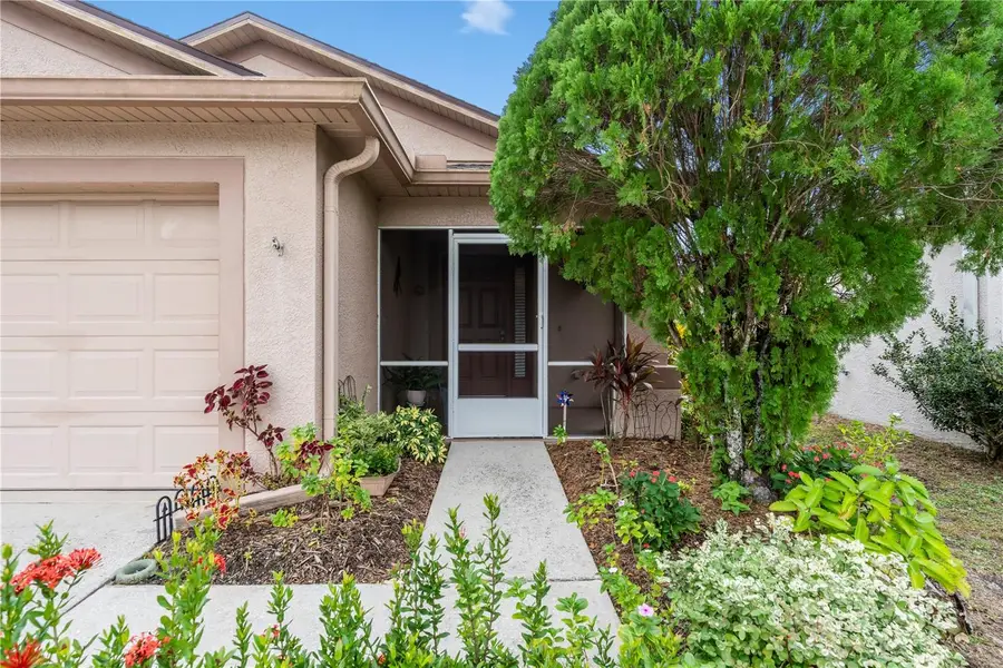 31052 Masena Drive, Wesley Chapel, FL 33545 - Image #2