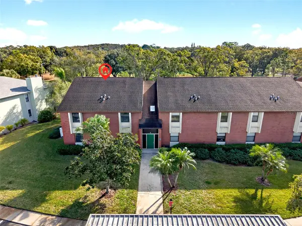 214 Caryl Way, OLDSMAR, FL 34677