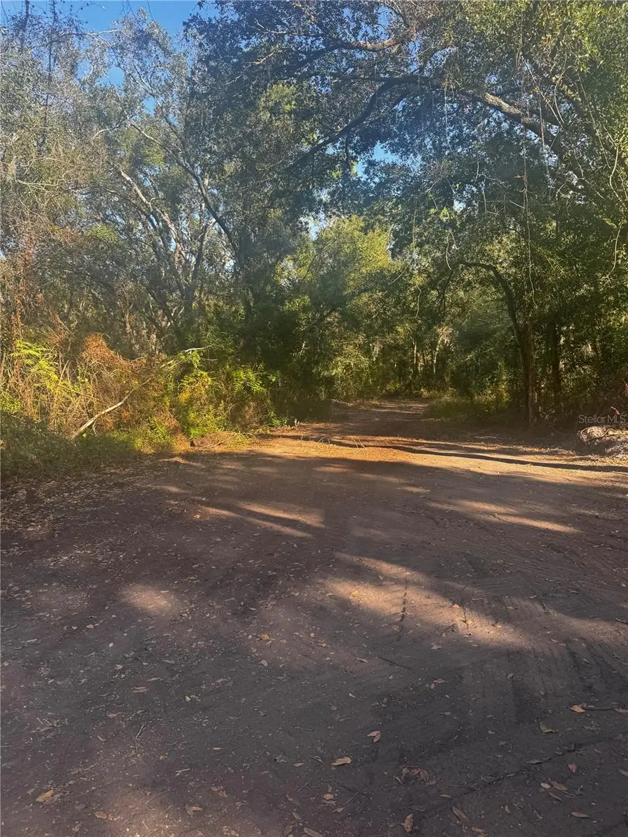 9-20 Anno, Tampa, FL 33625 - Image #2